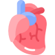 Cardiovascular