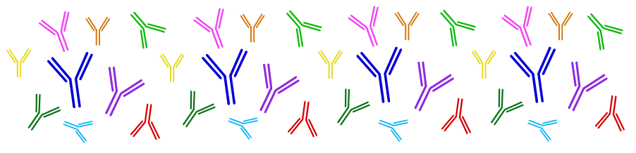 Polyclonal vs. Monoclonal Antibodies