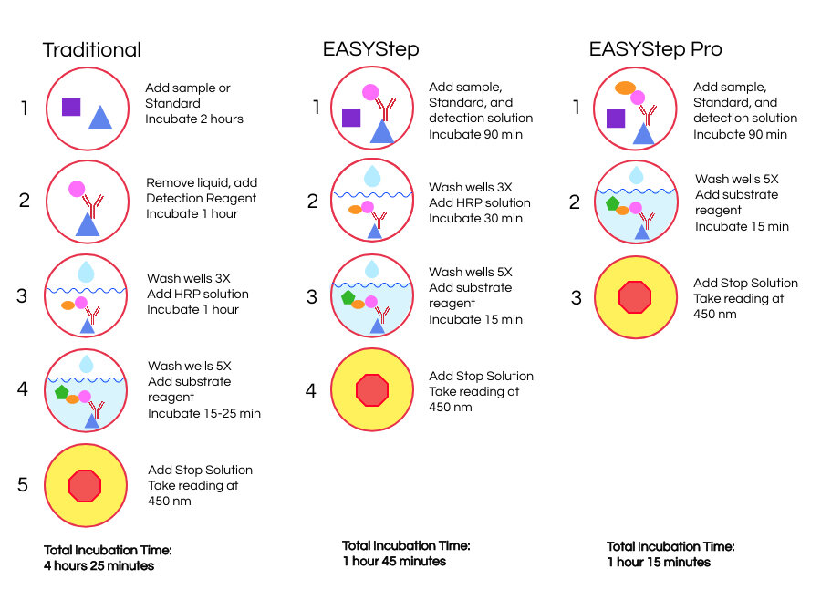 Comparison of the time and steps included for different types of ELISA kits, including instant ELISA kits