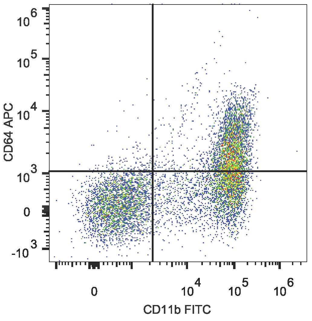 C57BL/6 murine bone marrow cells are stained with Anti-Mouse CD64 Monoclonal Antibody(APC Conjugated) and Anti-Mouse CD11b Monoclonal Antibody(FITC Conjugated).