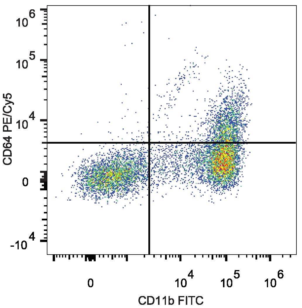 C57BL/6 murine bone marrow cells are stained with Anti-Mouse CD64 Monoclonal Antibody(PE/Cyanine5 Conjugated) and  Anti-Mouse CD11b Monoclonal Antibody(FITC Conjugated).