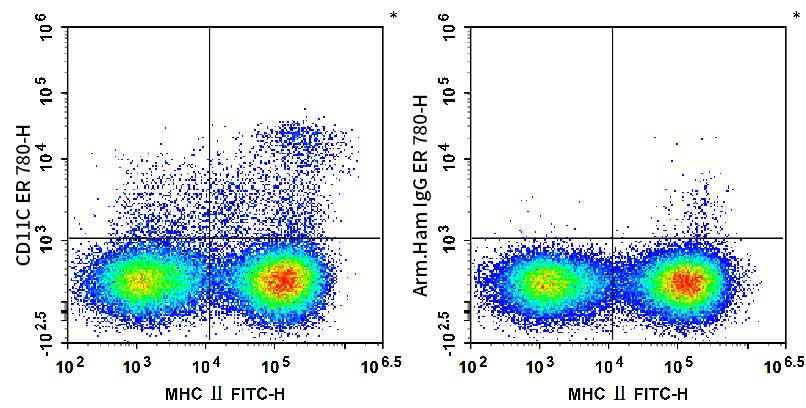 C57BL/6 murine splenocytes are stained with FITC Anti-Mouse MHC II (I-A/I-E) Antibody and AF Red 780 Anti-Mouse CD11c Antibody (Left). Splenocytes are stained with FITC Anti-Mouse MHC II (I-A/I-E) Antibody and AF Red 780 Armenian Hamster IgG Isotype Control (Right).