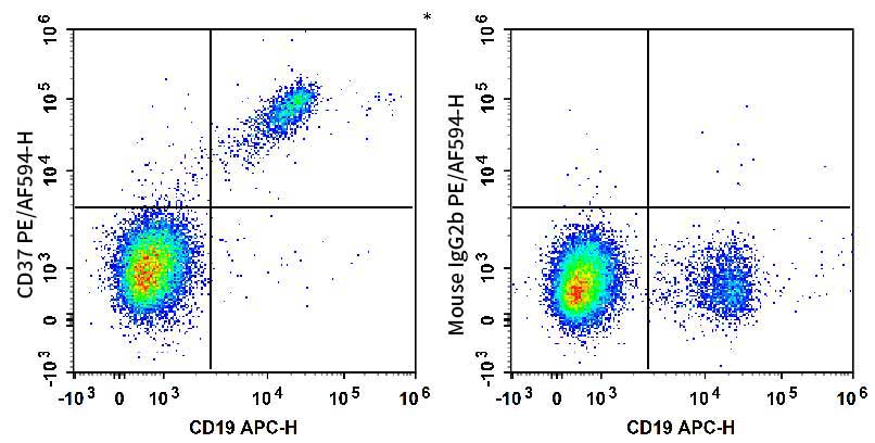 Human peripheral blood lymphocytes are stained with APC Anti-Human CD19 Antibody and PE/AF 594 Anti-Human CD37 Antibody (Left). Lymphocytes are stained with APC Anti-Human CD19 Antibody and PE/AF 594 Mouse IgG2b, κ Isotype Control (Right).