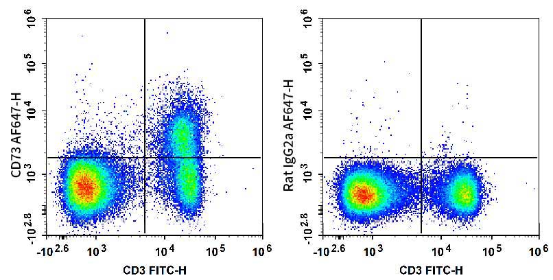 C57BL/6 murine splenocytes are stained with FITC Anti-Mouse CD3 Antibody and AF 647 Anti-Mouse CD73 Antibody (Left). Splenocytes are stained with FITC Anti-Mouse CD3 Antibody and AF 647 Rat IgG2a, κ Isotype Control (Right).