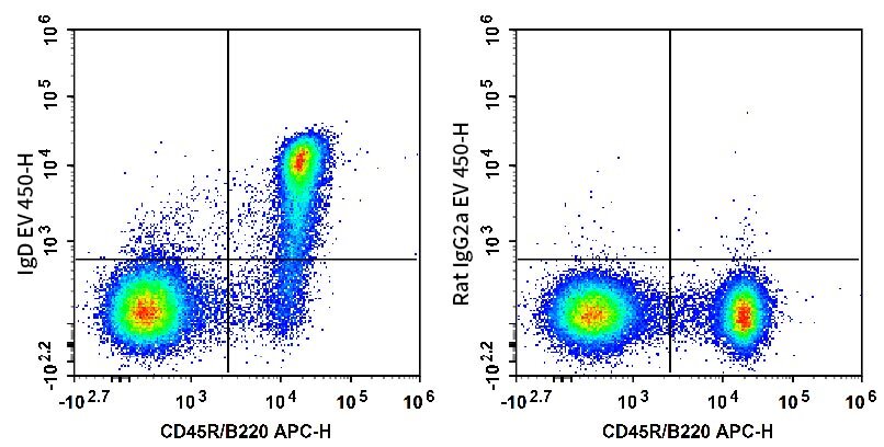 C57BL/6 murine splenocytes are stained with APC Anti-Mouse CD45R/B220 Antibody and AF Violet 450 Anti-Mouse IgD Antibody (Left). Splenocytes are stained with APC Anti-Mouse CD45R/B220 Antibody and AF Violet 450 Rat IgG2a, κ Isotype Control (Right).