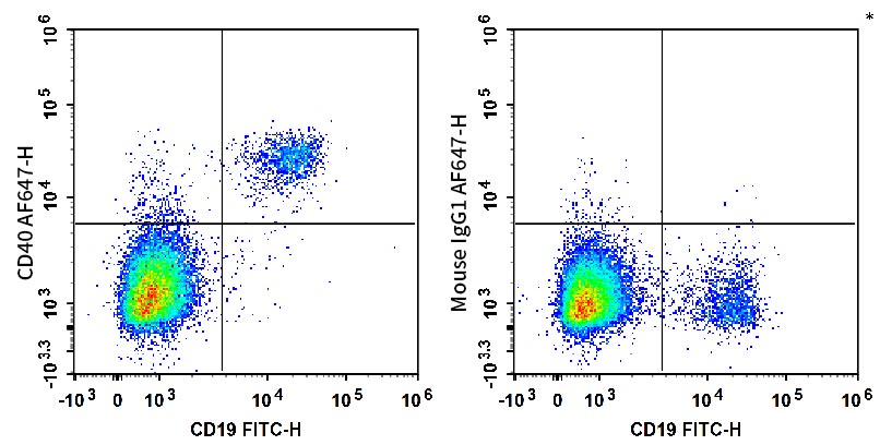 Human peripheral blood lymphocytes are stained with FITC Anti-Human CD19 Antibody and Biotin Anti-Human CD40 Antibody followed by Streptavidin-AF 647 (Left). Lymphocytes are stained with FITC Anti-Human CD19 Antibody and Biotin Mouse IgG1, κ Isotype Control followed by Streptavidin-AF 647 (Right).