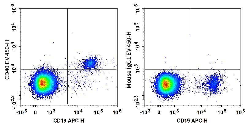 Human peripheral blood lymphocytes are stained with APC Anti-Human CD19 Antibody and AF Violet 450 Anti-Human CD40 Antibody (Left). Lymphocytes are stained with APC Anti-Human CD19 Antibody and AF Violet 450 Mouse IgG1, κ Isotype Control (Right).