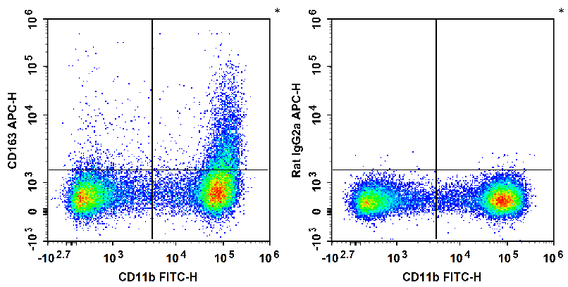 C57BL/6 murine bone marrow cells are stained with FITC Anti-Mouse/Human CD11b Antibody and APC Anti-Mouse CD163 Antibody (Left). Bone marrow cells are stained with FITC Anti-Mouse/Human CD11b Antibody and APC Rat IgG2a,κ Isotype Control (Right).