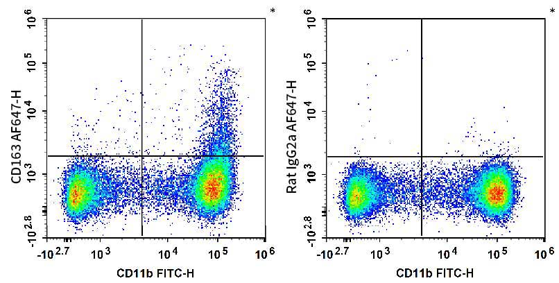 C57BL/6 murine bone marrow cells are stained with FITC Anti-Mouse/Human CD11b Antibody and AF 647 Anti-Mouse CD163 Antibody (Left). Bone marrow cells are stained with FITC Anti-Mouse/Human CD11b Antibody and AF 647 Rat IgG2a,κ Isotype Control (Right).