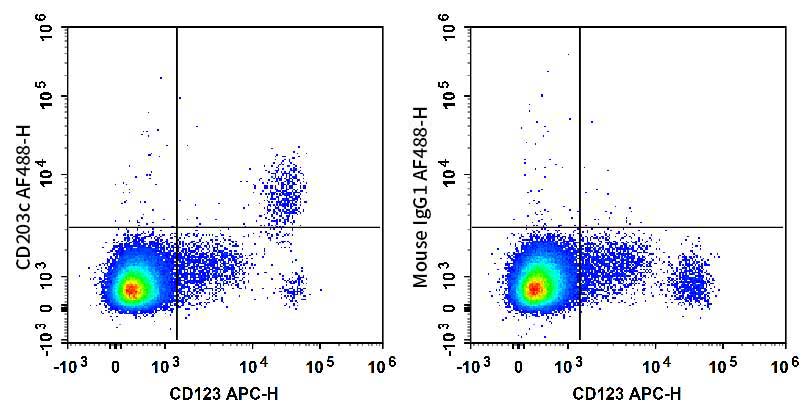 Human peripheral blood cells are stained with APC Anti-Human CD123 Antibody and AF 488 Anti-Human CD203c Antibody (Left). Peripheral blood cells are stained with APC Anti-Human CD123 Antibody and AF 488 Mouse IgG1,κ Isotype Control (Right).