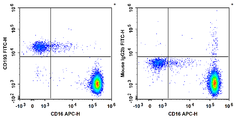 Human peripheral blood granulocytes are stained with APC Anti-Human CD16 Antibody and FITC Anti-Human CD193/CCR3 Antibody (Left). Granulocytes are stained with APC Anti-Human CD16 Antibody and FITC Mouse IgG2b,κ Isotype Control (Right).