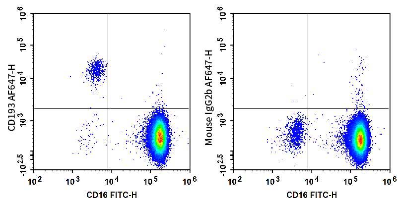 Human peripheral blood granulocytes are stained with FITC Anti-Human CD16 Antibody and AF 647 Anti-Human CD193/CCR3 Antibody (Left). Granulocytes are stained with FITC Anti-Human CD16 Antibody and AF 647 Mouse IgG2b,κ Isotype Control (Right).