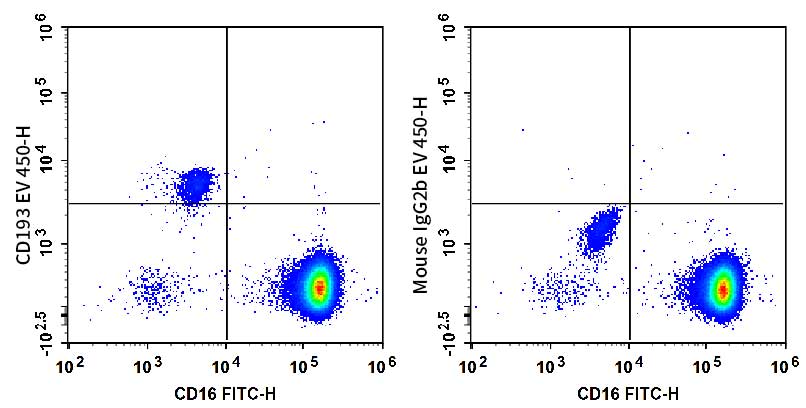 Human peripheral blood granulocytes are stained with FITC Anti-Human CD16 Antibody and AF Violet 450 Anti-Human CD193/CCR3 Antibody (Left). Granulocytes are stained with FITC Anti-Human CD16 Antibody and AF Violet 450 Mouse IgG2b,κ Isotype Control (Right).