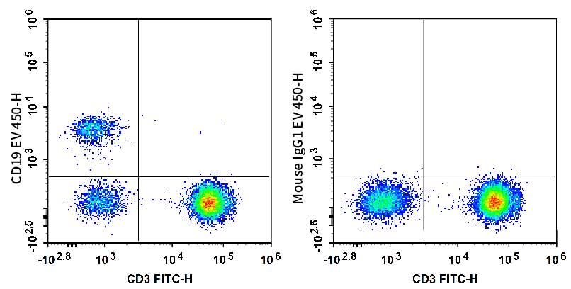 Human peripheral blood lymphocytes are stained with FITC Anti-Human CD3 Antibody and AF Violet 450 Anti-Human CD19 Antibody (Left). Lymphocytes are stained with FITC Anti-Human CD3 Antibody and AF Violet 450 Mouse IgG1, κ Isotype Control (Right).