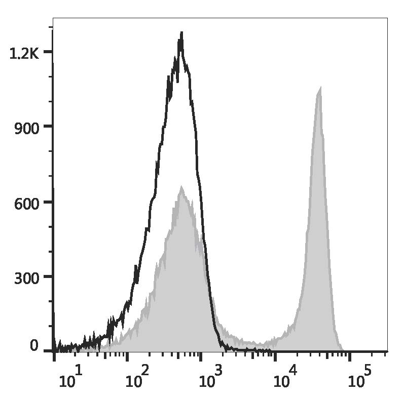 Rat splenocytes are stained with PE Anti-Rat CD45RA Antibody (filled gray histogram) or PE Mouse IgG1, κ Isotype Control (empty black histogram).