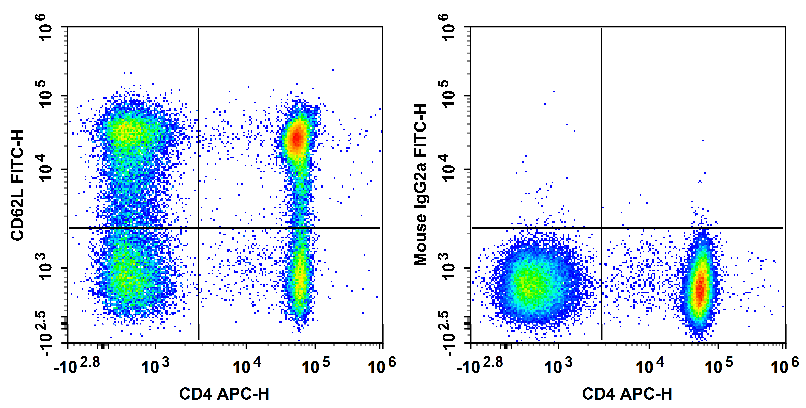 Human peripheral blood lymphocytes are stained with APC Anti-Human CD4 Antibody and FITC Anti-Human CD62L Antibody[HI62L] (Left). Lymphocytes are stained with APC Anti-Human CD4 Antibody and FITC Mouse IgG2a, κ Isotype Control (Right).