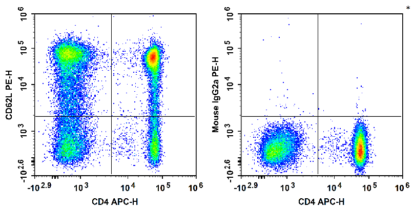 Human peripheral blood lymphocytes are stained with APC Anti-Human CD4 Antibody and PE Anti-Human CD62L Antibody[HI62L] (Left). Lymphocytes are stained with APC Anti-Human CD4 Antibody and PE Mouse IgG2a, κ Isotype Control (Right).