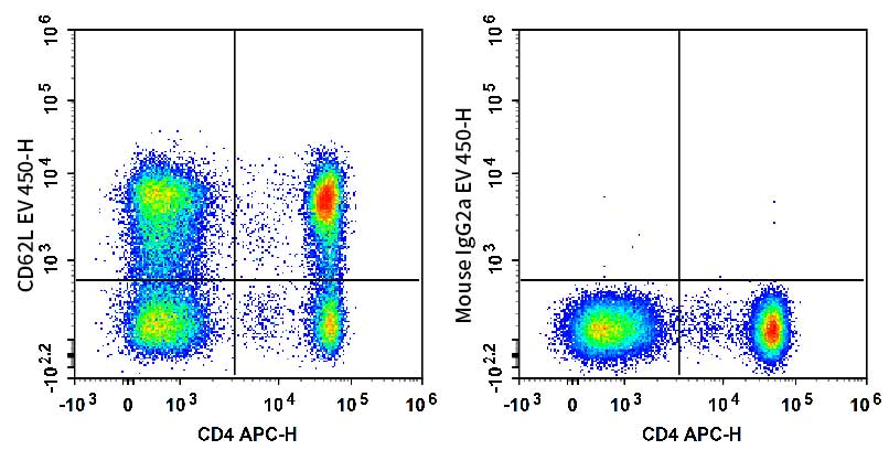 Human peripheral blood lymphocytes are stained with APC Anti-Human CD4 Antibody and AF Violet 450 Anti-Human CD62L Antibody[HI62L] (Left). Lymphocytes are stained with APC Anti-Human CD4 Antibody and AF Violet 450 Mouse IgG2a, κ Isotype Control (Right).