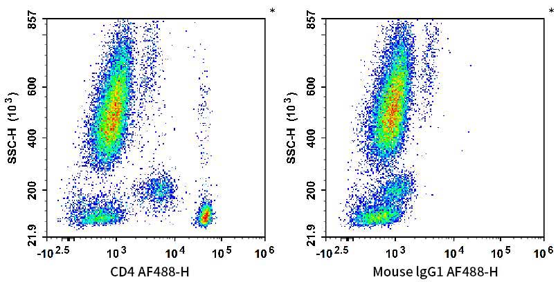 Human peripheral blood leucocytes are stained with AF 488 Anti-Human CD4 Antibody (Left). Leucocytes are stained with AF 488 Mouse IgG1, κ Isotype Control (Right).