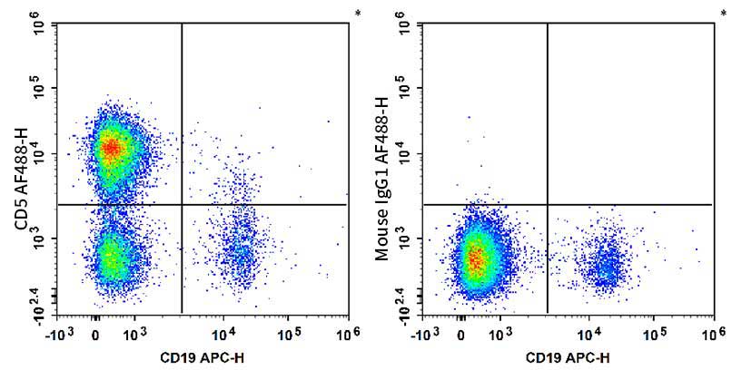 Human peripheral blood lymphocytes are stained with APC Anti-human CD19 Antibody and AF 488 Anti-Human CD5 Antibody[5D7] (Left). Lymphocytes are stained with APC Anti-human CD19 Antibody and AF 488 Mouse IgG1, κ Isotype Control (Right).