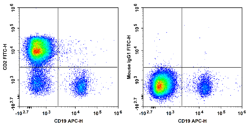 Human peripheral blood lymphocytes are stained with APC Anti-human CD19 Antibody and FITC Anti-Human CD2 Antibody[RPA-2.10] (Left). Lymphocytes are stained with APC Anti-human CD19 Antibody and FITC Mouse IgG1, κ Isotype Control (Right).