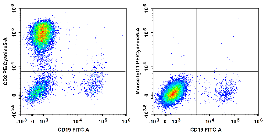 Human peripheral blood lymphocytes are stained with FITC Anti-human CD19 Antibody and PE/Cyanine5 Anti-Human CD2 Antibody[RPA-2.10] (Left). Lymphocytes are stained with FITC Anti-human CD19 Antibody and PE/Cyanine5 Mouse IgG1, κ Isotype Control (Right).