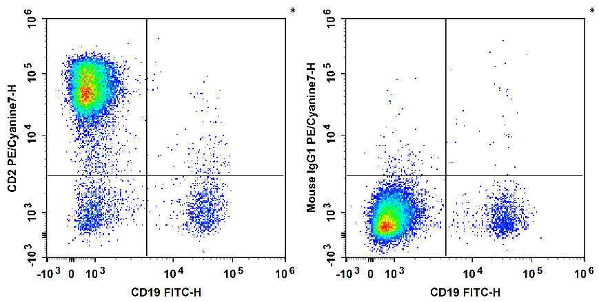 Human peripheral blood lymphocytes are stained with FITC Anti-human CD19 Antibody and PE/Cyanine7 Anti-Human CD2 Antibody[RPA-2.10] (Left). Lymphocytes are stained with FITC Anti-human CD19 Antibody and PE/Cyanine7 Mouse IgG1, κ Isotype Control (Right).