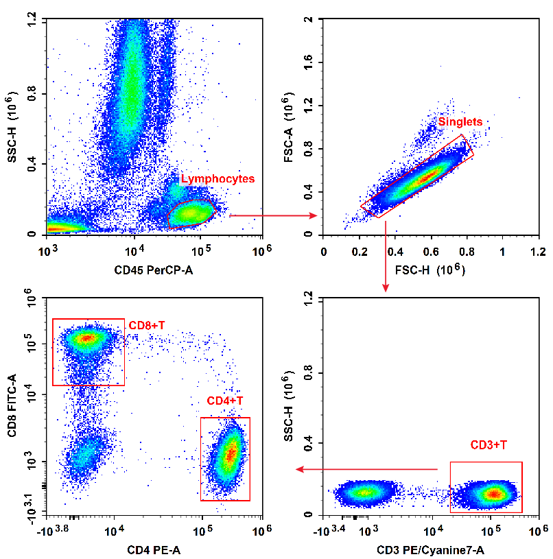 Human peripheral blood lymphocytes are stained with Anti-Human CD8a-FITC/CD4-PE/CD3-PE/Cyanine7/CD45-PerCP Cocktail.