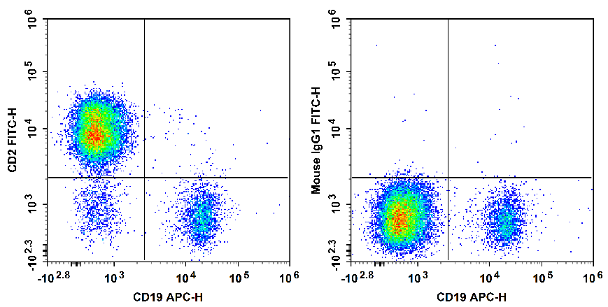 Human peripheral blood lymphocytes are stained with APC Anti-Human CD19 Antibody and FITC Anti-Human CD2 Antibody[HIT11] (Left). Lymphocytes are stained with APC Anti-Human CD19 Antibody and FITC Mouse IgG1, κ Isotype Control (Right).