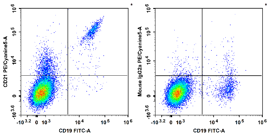 Human peripheral blood lymphocytes are stained with FITC Anti-Human CD19 Antibody and PE/Cyanine5 Anti-Human CD21 Antibody[HI21a] (Left). Lymphocytes are stained with FITC Anti-Human CD19 Antibody and PE/Cyanine5 Mouse IgG2a, κ Isotype Control (Right).