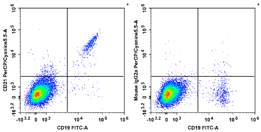 Human peripheral blood lymphocytes are stained with FITC Anti-Human CD19 Antibody and PerCP/Cyanine5.5 Anti-Human CD21 Antibody[HI21a] (Left). Lymphocytes are stained with FITC Anti-Human CD19 Antibody and PerCP/Cyanine5.5 Mouse IgG2a, κ Isotype Control (Right).