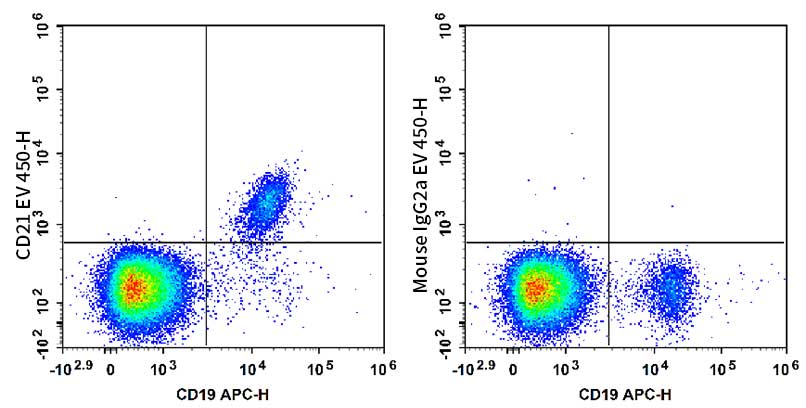 Human peripheral blood lymphocytes are stained with APC Anti-Human CD19 Antibody and AF Violet 450 Anti-Human CD21 Antibody[HI21a] (Left). Lymphocytes are stained with APC Anti-Human CD19 Antibody and AF Violet 450 Mouse IgG2a, κ Isotype Control (Right).