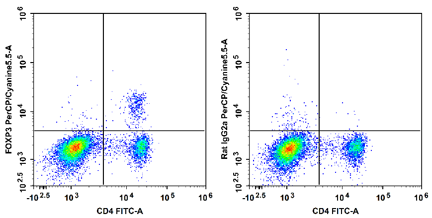 C57BL/6 murine splenocytes are stained with FITC Anti-Mouse CD4 Antibody and PerCP/Cyanine5.5 Anti-Mouse/Rat FOXP3 Antibody[FJK-16s] (Left). Splenocytes are stained with FITC Anti-Mouse CD4 Antibody and PerCP/Cyanine5.5 Rat IgG2a, κ Isotype Control (Right).