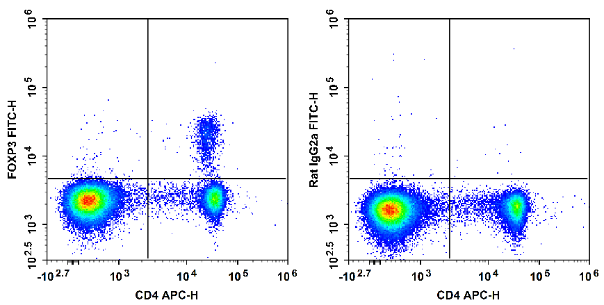 C57BL/6 murine splenocytes are stained with APC Anti-Mouse CD4 Antibody and FITC Anti-Mouse/Rat FOXP3 Antibody[FJK-16s] (Left). Splenocytes are stained with APC Anti-Mouse CD4 Antibody and FITC Rat IgG2a, κ Isotype Control (Right).