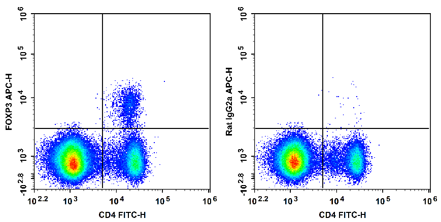 C57BL/6 murine splenocytes are stained with FITC Anti-Mouse CD4 Antibody and APC Anti-Mouse/Rat FOXP3 Antibody[FJK-16s] (Left). Splenocytes are stained with FITC Anti-Mouse CD4 Antibody and APC Rat IgG2a, κ Isotype Control (Right).