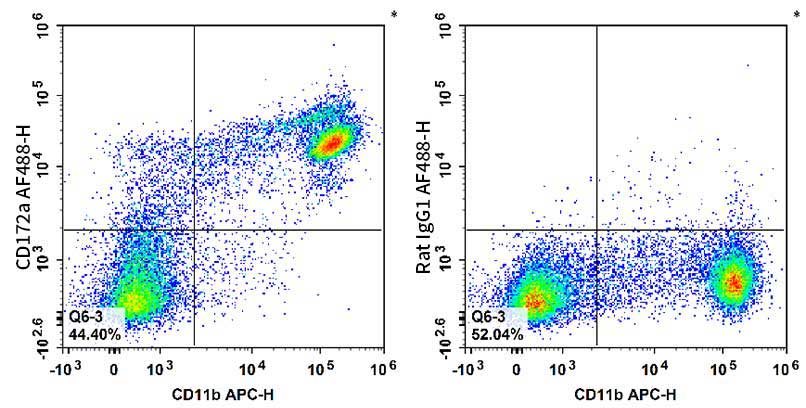 Staining of C57BL/6 murine bone marrow cells with APC Anti-Mouse/Human CD11b Antibody and AF488 Anti-Mouse CD172a/SIRPα Antibody[P84] (left) or AF488 Rat IgG1, κ Isotype Control (right). Total viable cells were used for analysis.