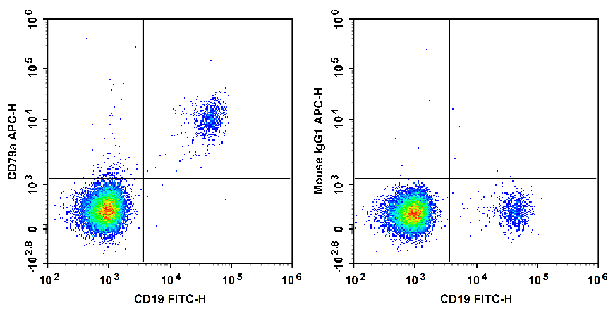 Staining of normal human peripheral blood cells with FITC Anti-Human CD19 Antibody and APC Anti-Human CD79a Antibody[HM47] (left) or APC Mouse IgG1, κ Isotype Control (right). Cells in the lymphocytes gate were used for analysis.