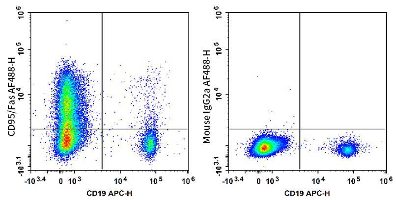 Staining of normal human peripheral blood cells with APC Anti-Human CD19 Antibody and AF488 Anti-Human CD95/Fas Antibody[HFE7A/APO] (left) or AF488 Mouse IgG2a, κ Isotype Control (right). Cells in the lymphocytes gate were used for analysis.