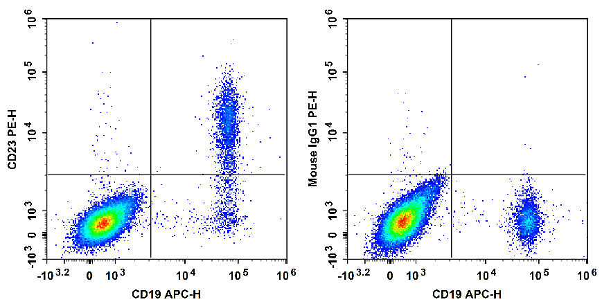 Staining of normal human peripheral blood cells with APC Anti-Human CD19 Antibody and PE Anti-Human CD23 Antibody[EBVCS2] (left) or PE Mouse IgG1, κ Isotype Control (right). Cells in the lymphocytes gate were used for analysis.