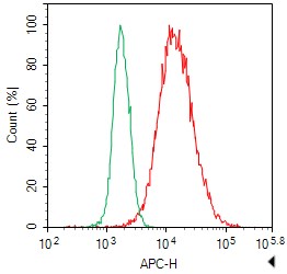 1x10^6 CHO cells Transfected with a Flag plasmid were stained with 0.2ug Anti-Flag tag mAb(RD86725A) and AF647 conjugated Goat Anti-mouse IgG (H+L);lsotype Control stained with 0.2ug mouse IgG and AF647 conjugated Goat Anti-mouse IgG (H+L)