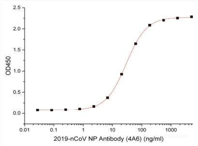 Immobilized 2019-nCoV Nucleocapsid Protein  at 5.0 μg/mL (100 μL/well) can bind  2019-nCoV NP Antibody (4A9)(Cat#RD90421A) , the EC50 for this effect is 29.8 ng/mL.