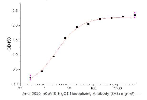 Immobilized Recombinant 2019-nCoV S-trimer Protein (C-6His) at 5.0 ug/mL (100 μL/well) can bind Anti-2019-nCoV S-hIgG1 Neutralizing Antibody (8A5), the EC50 is 2.9 ng/mL.