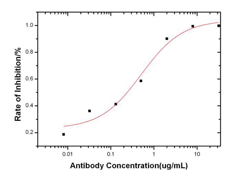 AcmNPV Envelope glycoprotein gp64 antibody neutralization activity is Measured by microneutralization assay in vitro. 
The virus microneutralization (MN) test was performed on SF9 cells infected with recombinant baculovirus (autographa californica nucleopolyhedrovirus) under treatment of serial dilutions of neutralizing antibody. The infection was neutralized by increasing concentrations of AcmNPV Envelope glycoprotein gp64/AcmNPV-gp64 Neutralizing Antibody. The IC50 is typically 0.25~1.0 g/mL.
